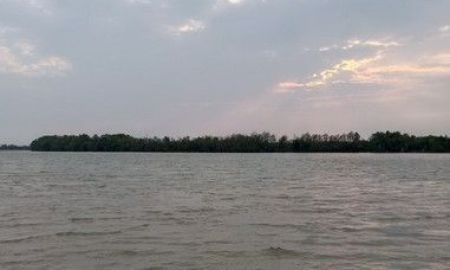 ขายที่ดิน - ขายที่ดินติดแม่น้ำบางปะกง อ.บ้านโพธิ์ จ.ฉะเชิงเทรา