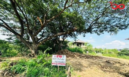 ขายที่ดิน - ขายที่ดิน 264ตร.ว. ติดถนน ท่าช้าง นครหลวง อยุธยา