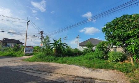 ขายที่ดิน - ขายที่ดินเปล่าใจกลางเมือง สุราษฎร์ธานี ทำเลทองในเมือง เข้าทางถนนอำเภอ 2 สามารถเชื่อมต่อถนนการุณราษฎร์ได้