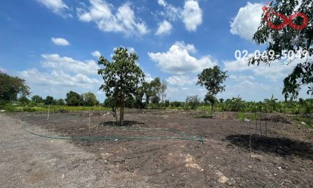 ขายที่ดิน - ขายที่ดิน 1 ไร่ ถนนเลียบคลอง 12 หนองเสือ ปทุมธานี