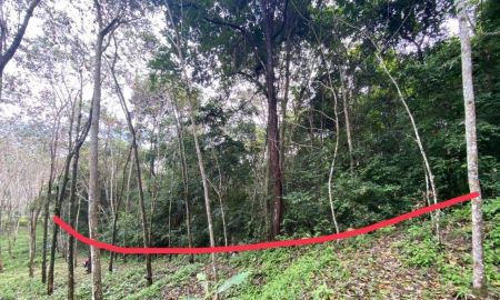 ขายที่ดิน - ขายที่ดินบนเกาะ สวยมากๆที่ราบเชิงเขา มีจุดชมวิวทะเล เหมาะสำหรับพัฒนาเป็น บ้านพักอาศัย, บังกะโล, วิลล่า หรือรีสอร์ท มีไฟฟ้าผ่านที่ดิน