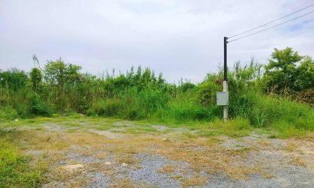 ขายที่ดิน - ที่ดินซอยวัดลาดปลาดุกใกล้ห้างแจ็สขายราคาถูกมีหลายแปลงถมแล้ว