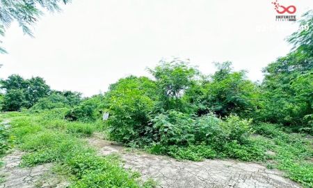 ขายที่ดิน - ขายที่ดิน 61ตรว.คลองพระราชาพิมล วัดลาดปลาดุก บางใหญ่ บางบัวทอง นนทบุรี