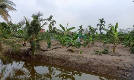 ขายที่ดิน - ขายที่ดินเปล่า 4 ไร่ 27 ตร.วา ติดคลอง บรรยากาศดี เหมาะสร้างบ้านสวน ทำเกษตร ต.บางไผ่ อ.เมือง จ.ฉะเชิงเทรา