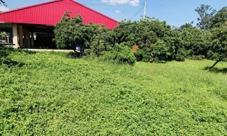 ขายที่ดิน - ขายที่ดินเปล่า 2งาน36ตรว. 1.5ลบ. น้ำไม่ท่วม น้ำประปา ไฟฟ้า เข้าถึง ต.ยางเนิ้ง อ.สารภี เชียงใหม่