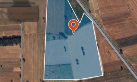 ขายที่ดิน - ขายที่ดินอำเภอเฉลิมพระเกียรติจังหวัดนครราชสีมา บ้านหนองบัวโคก ตำบลหนองยาง ขนาดที่ดิน 108-3-81ไร่โฉนด