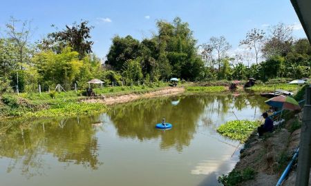 ขายที่ดิน - ขายที่ดินพร้อมฟาร์มปลา (ปลาพลวงชมพู/ปลาเวียน มีที่เดียวในโลก) สิ่งปลูกสร้าง ตำบลหนองหนาม เมืองลำพูน