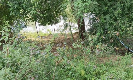 ขายบ้าน - ขายบ้านพร้อมที่ดินโฉนด2ไร่66ตรว.ราคา3,300,000บาทต.ท่ายางอ.ท่ายางจ.เพชรบุรีติดแม่น้ำเพชรบุรีพร้อมสวนผลไม้ทุเรียน มะพร้าว ไม้ผลอื่นๆ