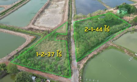 ขายที่ดิน - ขายที่ดิน ทำเลดี อ.เมืองฉะเชิงเทรา ถมแล้ว ใกล้โรบินสันฉะเชิงเทรา