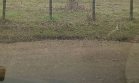 ขายที่ดิน - ขายที่ดินตำบลน้ำแพร่หางดงเอกสารสิทธิ์ นส3 ราคาถูก