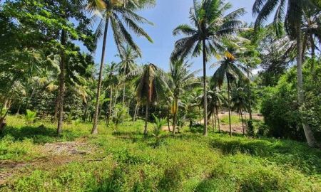 ขายที่ดิน - ขายที่ดินเกาะสมุย (หน้าเมือง) สุราษฎร์ธานี อยู่ในโซนหน้าเมือง ใกล้ชุมชน เดินทางสะดวก มีสาธารณูปโภคครบ