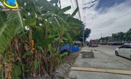 ขายที่ดิน - ขายที่ดิน 149 ตารางวา ติดถนนพุทธมณฑล สาย 1 เหมาะทำโชว์รูม ตลิ่งชัน