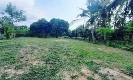 ขายที่ดิน - ขายที่ดินตำบลดอนแก้วสารภีปลูกบ้านได้เลยโฉนด