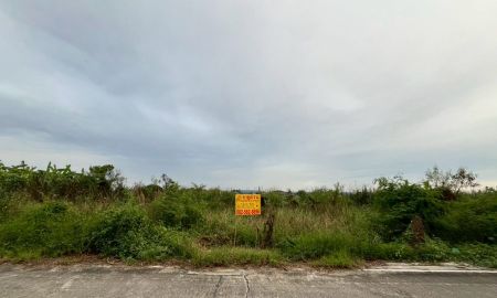 ขายที่ดิน - ขายที่ดินเปล่า ปิ่นทองแลนด์ซอย2 ไทรน้อย นนทบุรี