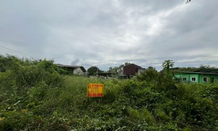 ขายที่ดิน - ขายที่ดินเปล่า คลองโยง ใกล้วัดต้นเชือก บางใหญ่ นนทบุรี