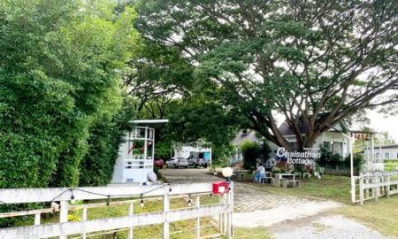 ขายที่ดิน - ที่ดินกิจการรีสอร์ท 356 ตร.ว. ต. ไชยสถาน อ.สารภี จ.เชียงใหม่