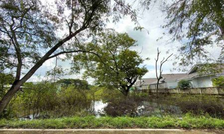 ขายที่ดิน - ขาย ที่ดิน 275.5 ตร.ว. ต.ป่าแดด อ.เมือง จ.เชียงใหม่