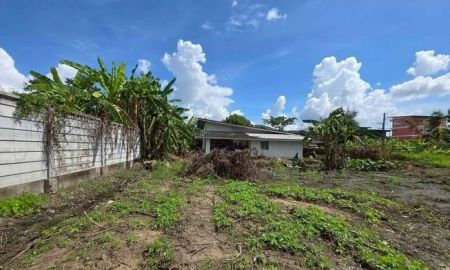 ขายที่ดิน - ขายที่ดินตำบลอุโมงค์ห่างถนนหลักเพียง 100เมตรพร้อมโอน