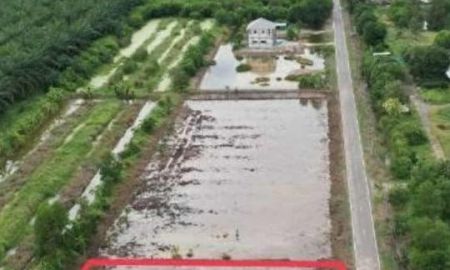 ขายที่ดิน - ขายที่ดินคลอง 9 ตะวันตก หนองเสือ ปทุมธานี #ตรงข้ามวัดบึงกาสาม เนื้อที่ 200 ตรว.ราคา 695,000 บาท มี 2 แปลง #ยก 1 ไร่ราคาพิเศษ