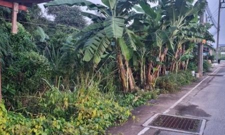 ขายที่ดิน - ขายด่วน ที่ดินสวนในเขตเทศบาลเขตรอุดมศักดิ์ ต.สัตหีบ อ.สัตหีบ จ.ชลบุรี