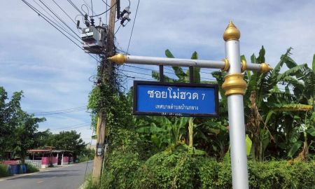ขายที่ดิน - ร้อนเงินขายถูก ที่ดินบ้านกลาง 244 ตารางวา ติดถนนคอนกรีตสาธารณะ ซอย โม่ฮวด 7 เมืองปทุมธานี