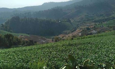 ขายที่ดิน - ที่ดินโฉนด 1 ไร่ บรรยากาศดี วิวที่สวยงามที่สุดของ อ.ปาย ใกล้แหล่งท่องเที่ยว รีสอร์ต ชุมชน 9 นาทีจากภูริปายรีสอร์ต