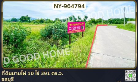 ขายที่ดิน - ที่ดินมาบไผ่ 10 ไร่ 391 ตร.ว. ชลบุรี ใกล้โรงเรียนนานาชาติเวลล์ส ชลบุรี