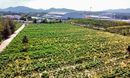 ขายที่ดิน - ขายที่ดินแปลงสวย ทำเลงาม ติดสวนนงนุช พัทยา ใกล้ทะเลนาจอมเทียน