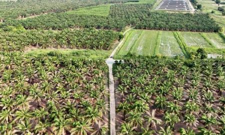 ขายที่ดิน - ขายที่ดินแปลงใหญ่ ใกล้อ่างเก็บน้ำคลองหนองน้ำ คลองกิ่ว บ้านบึง