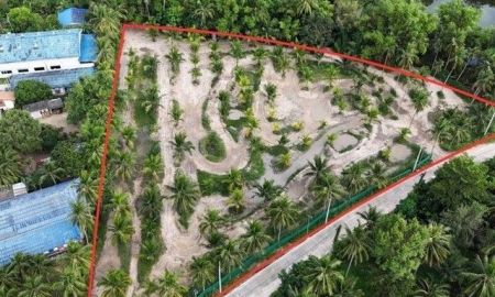 ขายที่ดิน - ขายที่ดินสวย โซนธรรมชาติ ลานแคมป์ปิ้งยอดนิยม ศรีราชา บางพระ TP-L1868