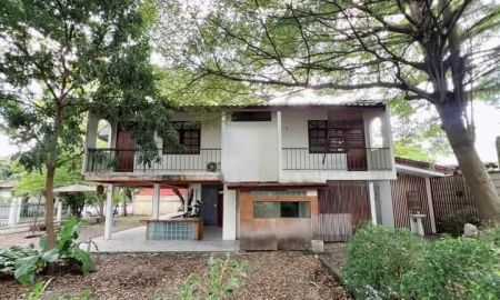 ขายบ้าน - ขายบ้าน-เช่าแถวโรงแรมฟูราม่าเชียงใหม่พร้อมโอน