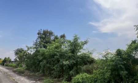 ขายที่ดิน - ที่ดินเงินผ่อนทำเลดีคลอง 9 ผ่อนนาน 40 เดือน