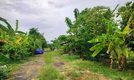 ขายที่ดิน - ที่ดินถมแล้ว 80 ตรว. ขาย 1,200,000 บาท (รวมภาษีค่าโอน) ใกล้ห้าง JAS ลาดปลาดุก ทิศใต้ ติดทางคอนกรีต 6 เมตร หน้ากว้าง 17.8 ม. ลึก 17.9 ม. มี 3 แปลง