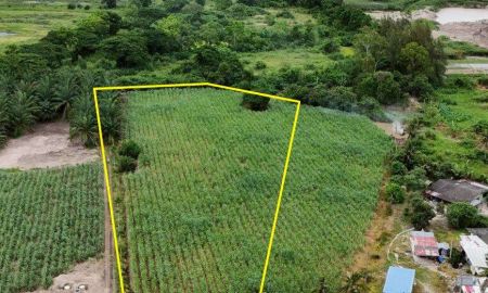 ขายที่ดิน - ขายที่ดินคลองกิ่ว 4 ไร่ ติดถนนคอนกรีตติดอ่างเก็บน้ำหนองน้ำเขียว ใกล้เทศบาลบ้านบึง-4กม. อ.บ้านบึง ชลบุรี