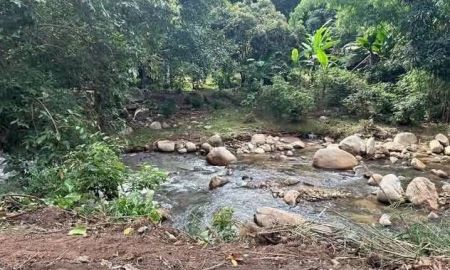 ขายที่ดิน - ขายที่ดินตำบลป่าเมี่ยงดอยสะเก็ตติดลำธารน้ำโฉนดพร้อมโอน