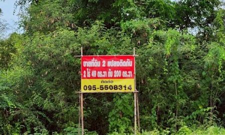 ขายที่ดิน - ขายที่ดินถูกมาก!! ติดถนนหลวงภาชี - นครหลวง ทำเลดีมาก