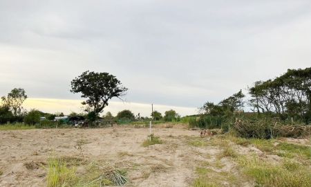 ขายที่ดิน - ขายที่ดิน 2 ไร่ ใกล้ถนน 3009 สำหรับรีสอร์ท บ้านพัก เก็งกำไร สนใจโทรด่วน