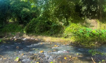 ขายที่ดิน - ที่ดินติดลำห้วยเกษม ติดถนนลาดยาง วิวภูเขา 360 องศา