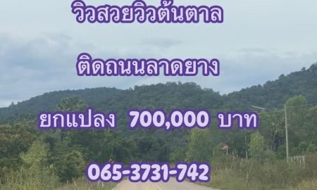 ขายที่ดิน - ที่ดินติดถนนลาดยางบ้านลาด เพชรบุรี วิวต้นตาลล้อมรอบสวยมาก