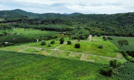 ขายที่ดิน - ขายที่ดิน พิกัดที่ดิน ต.หนองประดู่ เลาขวัญ กาญจนบุรี (สามารถผ่อนชำระได้)