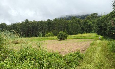 ขายที่ดิน - ขายที่ดิน นส3ก เชียงราย อ.พาน 10ไร่ 3 งาน 70ตรว