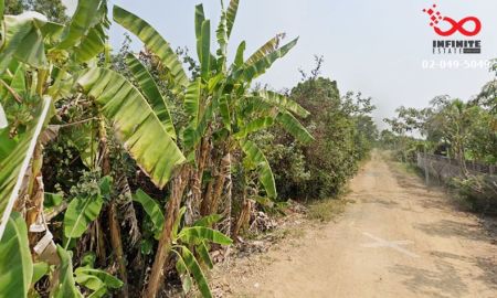 ขายที่ดิน - ขายที่ดิน 194 ตร.วา ถนนประชาสำราญ ซอยเทวาพิทักษ์ หนองจอก