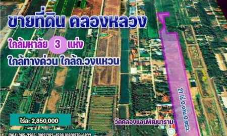 ขายที่ดิน - ขายด่วนที่ดินราคาถูก 21 ไร่ ใกล้ อบต คลองสาม ห่างจากถนนคลองหลวง เพียง 500 เมตร จ.ปทุมธานี (ใกล้ทางด่วน, ใกล้วนถนนวงแหวน)