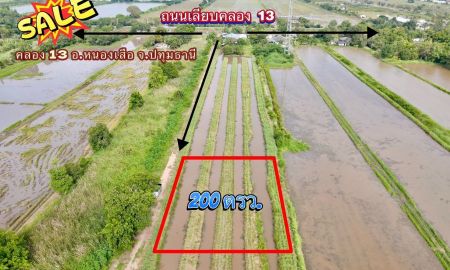 ขายที่ดิน - แปลงเล็ก200 ตารางวา คลอง 13 อ.หนองเสือ จ.ปทุมธานี เหมาะทำบ้านสวน
