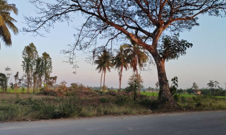 ขายที่ดิน - ขายที่ดินหน้ากว้าง รูปทรงชายธง ทำเลดีมาก ต.ย่านยาว อ.เมือง จ.พิจิตร