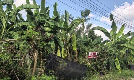 ขายที่ดิน - ขายที่ดินเปล่า 70ตรว. คลอง11 หมู่บ้านนริศรา ซ.4 ถูกกว่าราคาประเมิน เจ้าของขายเอง