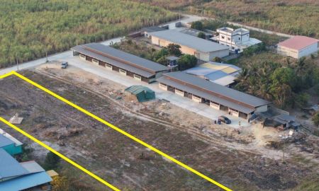 ขายที่ดิน - ขายที่ดินคลองกิ่ว 2 ไร่ ถมแล้วซอยเทศบาล9 ใกล้ตลาดหัวกุญแจ-2กม. อ.บ้านบึง ชลบุรี