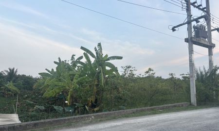 ขายที่ดิน - ขายที่ดินเปล่า 10 ไร่ 9 ตารางวา ต.ศาลายา อ.พุทธมณฑล จ.นครปฐม ถนนเชื่อมไปคลองโยง เลียบคลองตาหลี คลองมหาสวัสดิ์