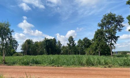 ขายที่ดิน - ขายที่ดินทำเลทอง กาฬสินธุ์ เหมาะกับการลงทุน เกษตร และพัฒนาโครงการ