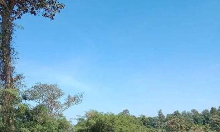 ขายที่ดิน - ที่นาราคาถูก 330,000 อยู่อาศัยได้ อ.ชำนิ บุรีรัมย์